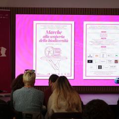 CORTINAMETRAGGIO EDIZIONE 2026 GIORNATA DEL 23-03-26