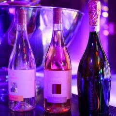 DAgostino-Anna-cortinametraggio-1430