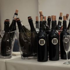 CORTINAMETRAGGIO EDIZIONE 2026 GIORNATA DEL 23-03-26