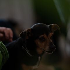 DSC_8652