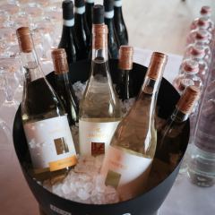 CORTINAMETRAGGIO EDIZIONE 2026 GIORNATA DEL 25-03-26